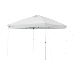 10x10 Canopy Tent