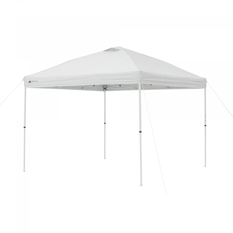 10x10 Canopy Tent